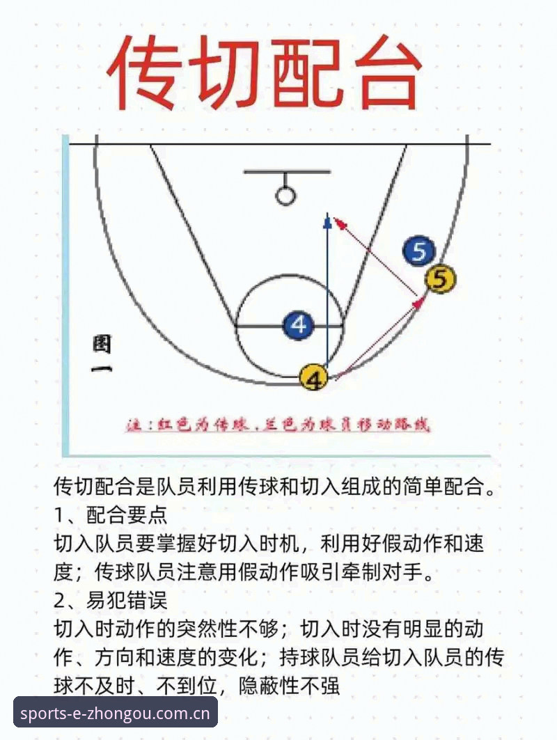 中欧体育热门玩法下载全面评测：新手实战指南与操作细节
