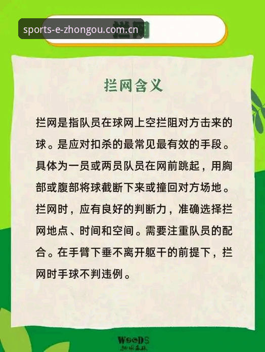 中欧体育平台手机版实用技巧：安全与体验的必备知识